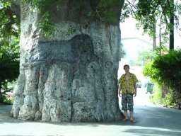 268957_10150256141614901_4840734_n